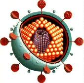 Ne Adjon Esélyt! Ne Adjon Esélyt!